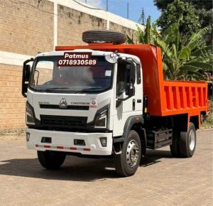 patmus website photos10