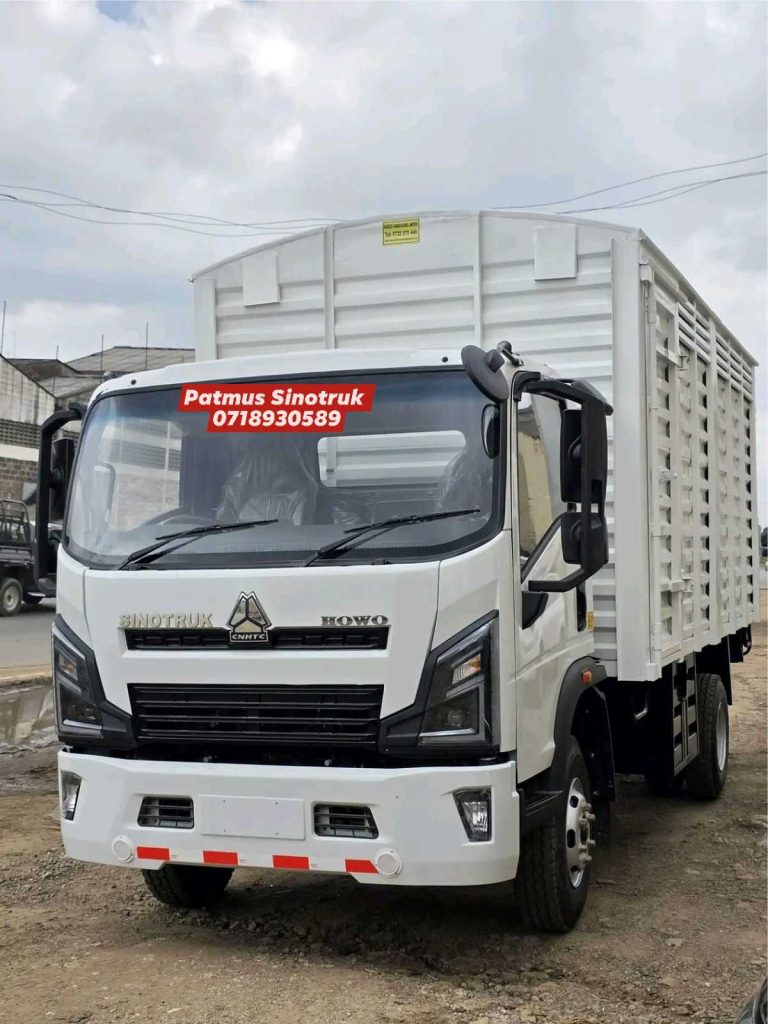 patmus website photos13