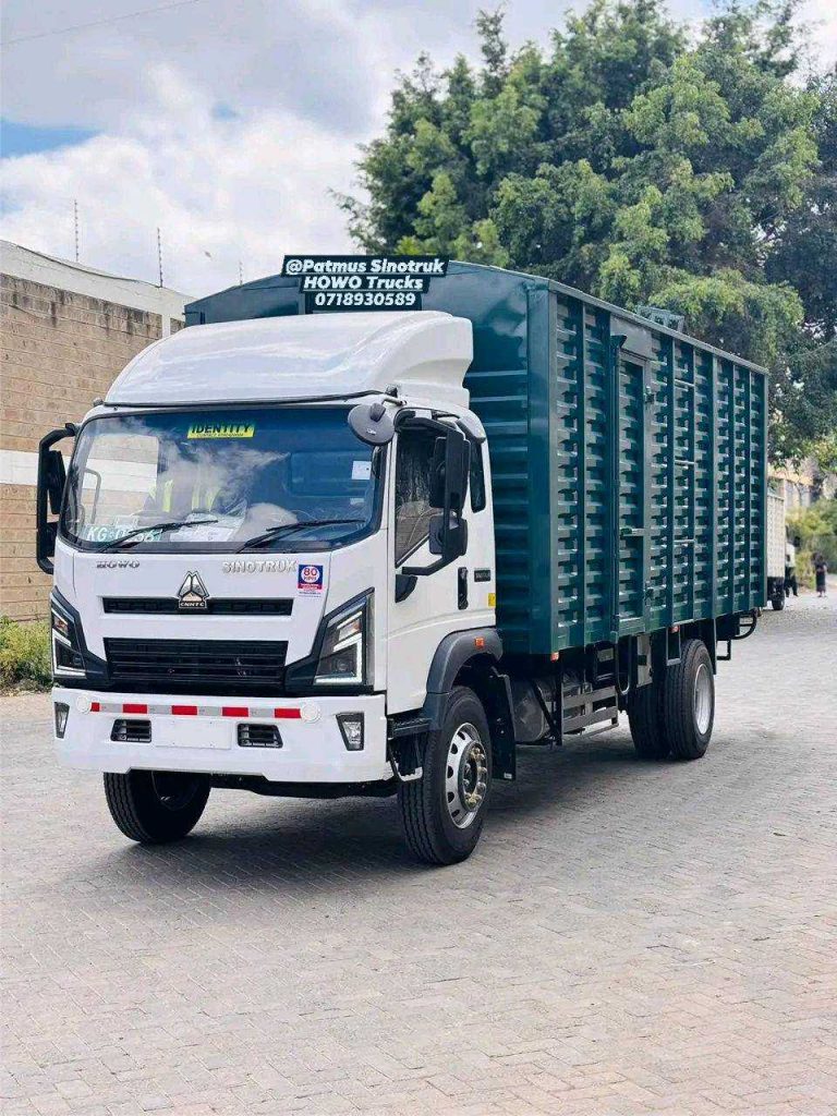 patmus website photos16