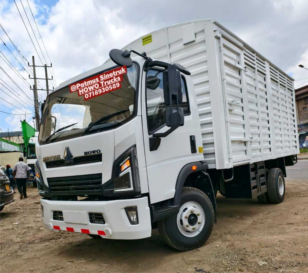 patmus website photos17