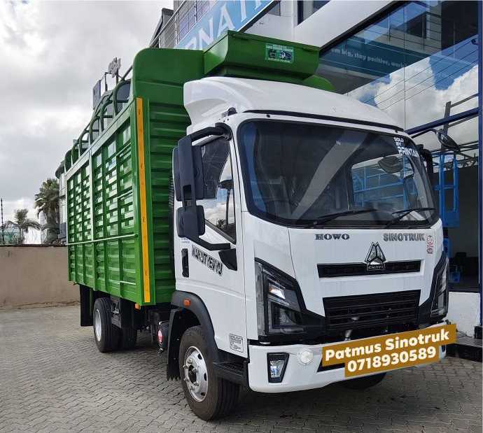 patmus website photos19